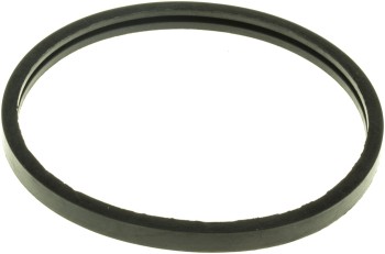 Engine Coolant Thermostat Seal