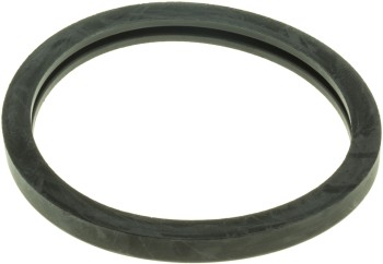 Engine Coolant Thermostat Seal