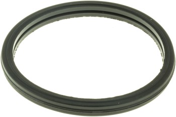Engine Coolant Thermostat Seal