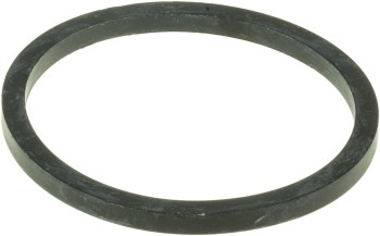 Engine Coolant Thermostat Seal