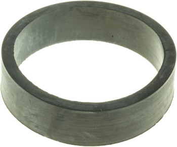 Engine Coolant Thermostat Seal