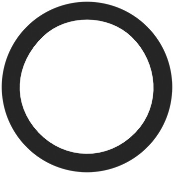 Engine Coolant Thermostat Seal