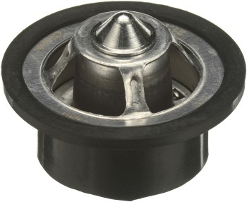 Engine Coolant Thermostat