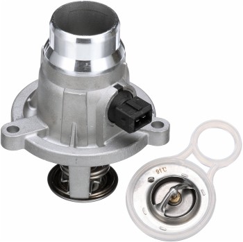 Engine Coolant Thermostat