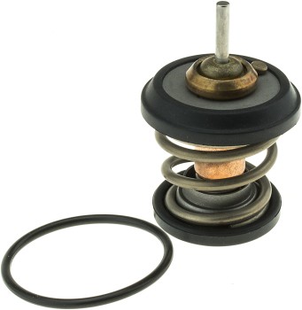 Engine Coolant Thermostat
