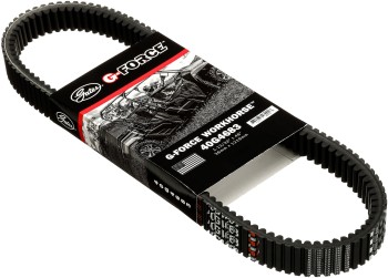 Accessory Drive Belt