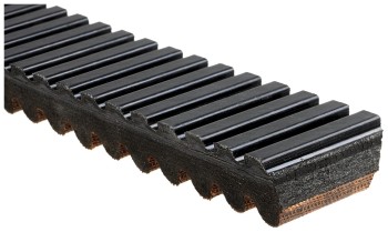 Accessory Drive Belt