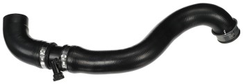 Radiator Coolant Hose