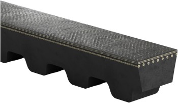 Accessory Drive Belt
