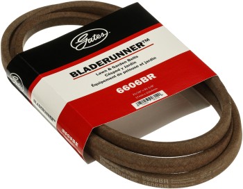 Accessory Drive Belt