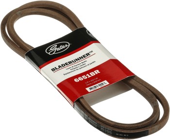 Accessory Drive Belt