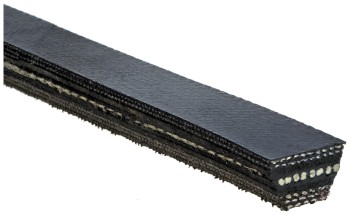 Accessory Drive Belt