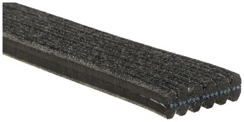 Serpentine Belt