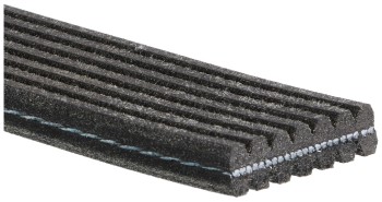 Serpentine Belt
