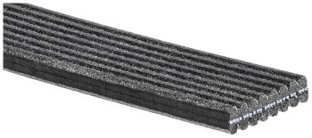 Serpentine Belt