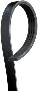 Serpentine Belt
