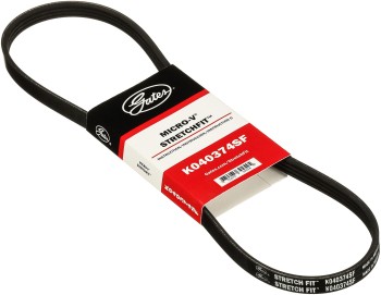 Serpentine Belt