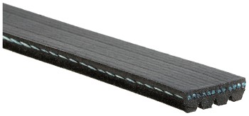 Serpentine Belt