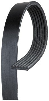 Serpentine Belt