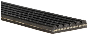 Serpentine Belt