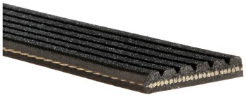 Serpentine Belt