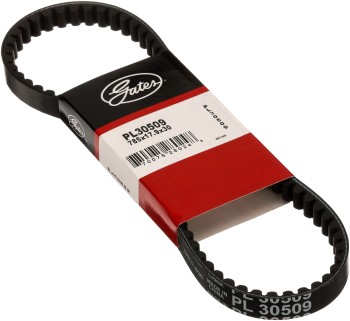 Accessory Drive Belt