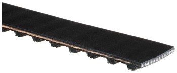 Engine Timing Belt