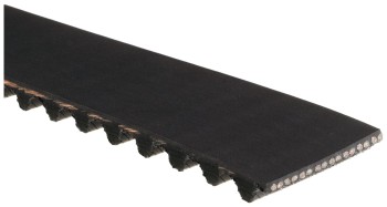 Engine Timing Belt