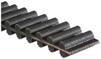 Engine Balance Shaft Belt