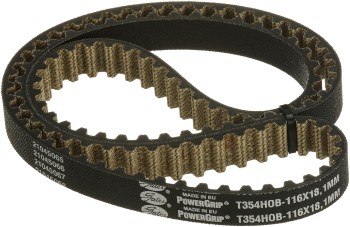 Engine Timing Belt