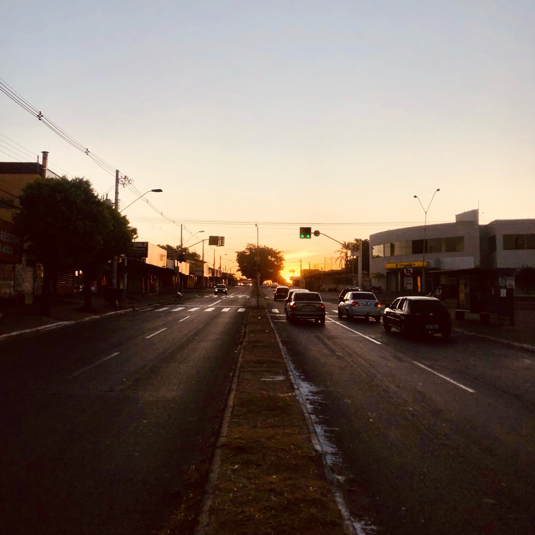 Fotografia de uma avenida de duas pistas com alguns carros na via à direita parados em um sinal vermelho. Ao fundo, centralizado no canteiros central, a silhueta de uma árvore contrasta com o sol se pondo.