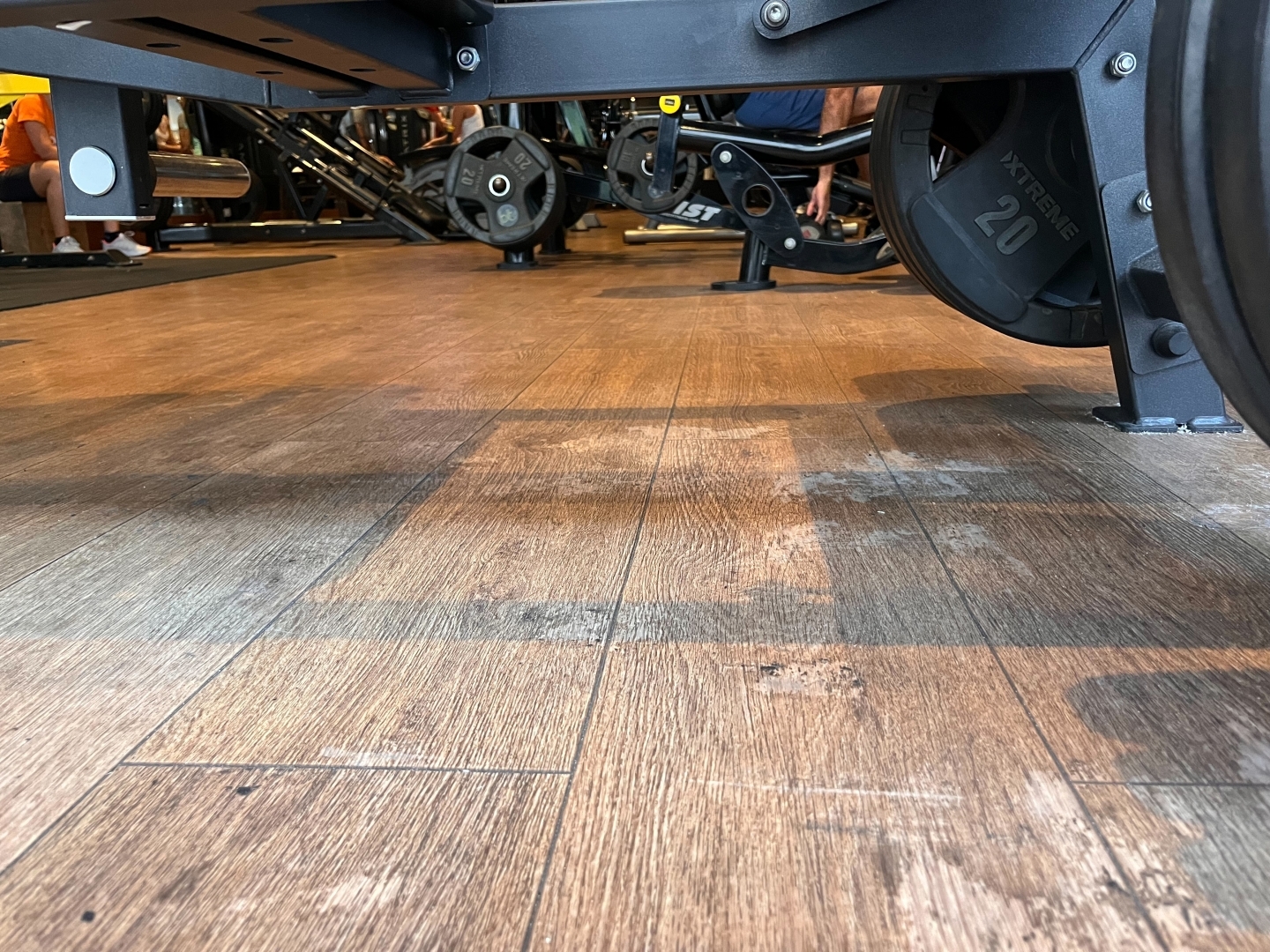 Foto tirada ao nível do chão, que simula um piso de madeira e está bem iluminado pela luz do sol que vem de trás da câmera. À direita vê-se parte dos pesos circulares conectados à máquina e acima uma parte dela. É uma imagem estranha. Ao fundo vê-se uma longa academia e diversas máquinas para exercícios