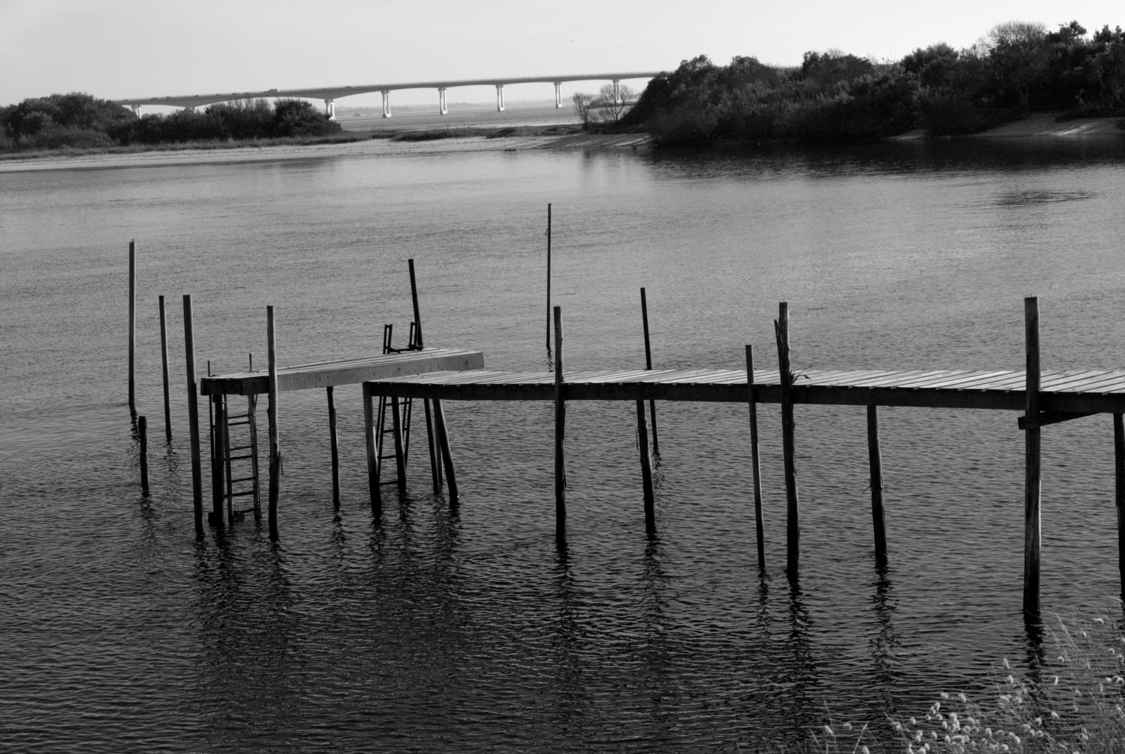 black and white photo.
in the foreground is a wooden pier on stilts going into the water to a dock, also on stilts. 
the dock is not attached to the pier.
water spreads out to a line of trees in the background .
behind that is a bridge spanning most of the top part of the picture.
it is a contrast of horizontal and vertical lines.
organic in the pier
architectural in the bridge.
