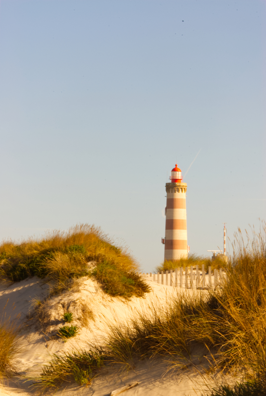 a lighthouse rises up out of sand dunes.
capped with golden grass, with hints of green, the dunes create a path from where the lighthouse sprouts from.
the lighthouse, just right of center is banded with puce/cream stripes.
the left side of the tower, the stripes are in shadow, so a darker shade.
the right is lit be the morning sun.
the top is red, clear (where the light is) red, like a split strawberry.
behind the tower is a light blue morning sky