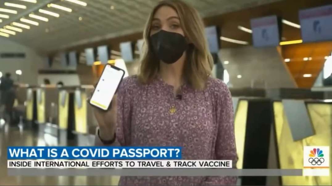 Hackers Destroy All of Brazil's Covid Digital Passports (funny)