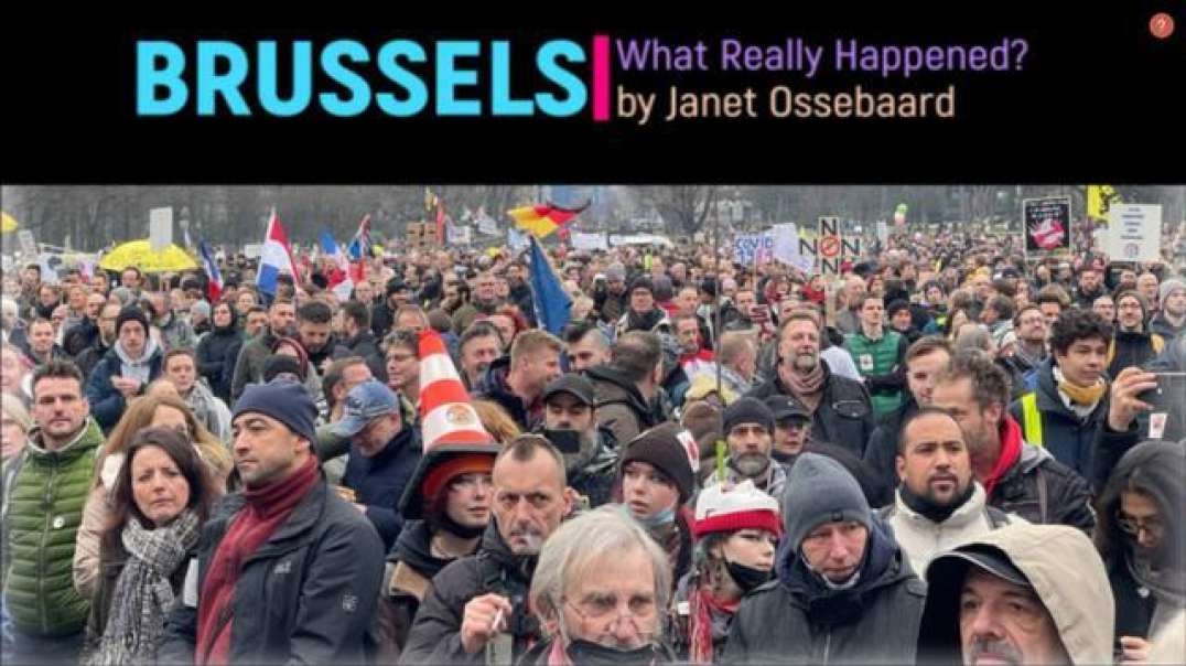 Brussels - What Really Happened By Janet Ossebaard  [Creator of Fall of the Cabal]