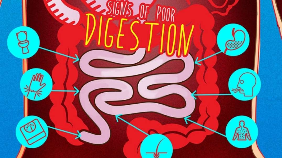 Signs Of Poor Digestion And How to Restore Health of Your Gut in Minutes
