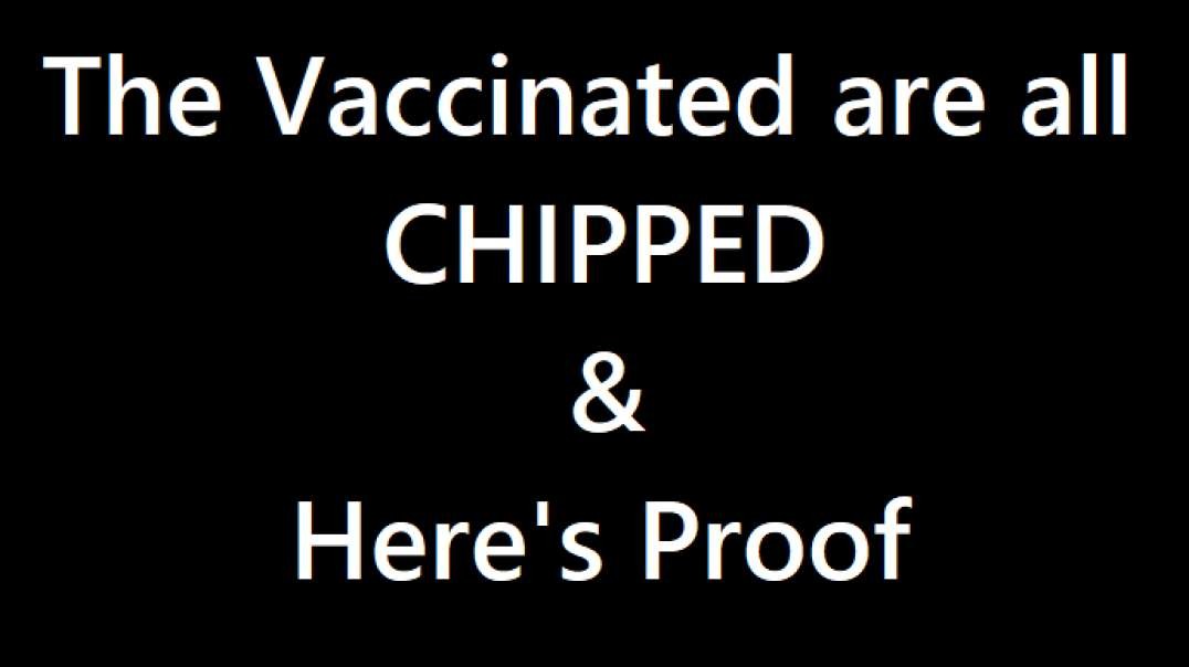 The Vaccinated are all CHIPPED
