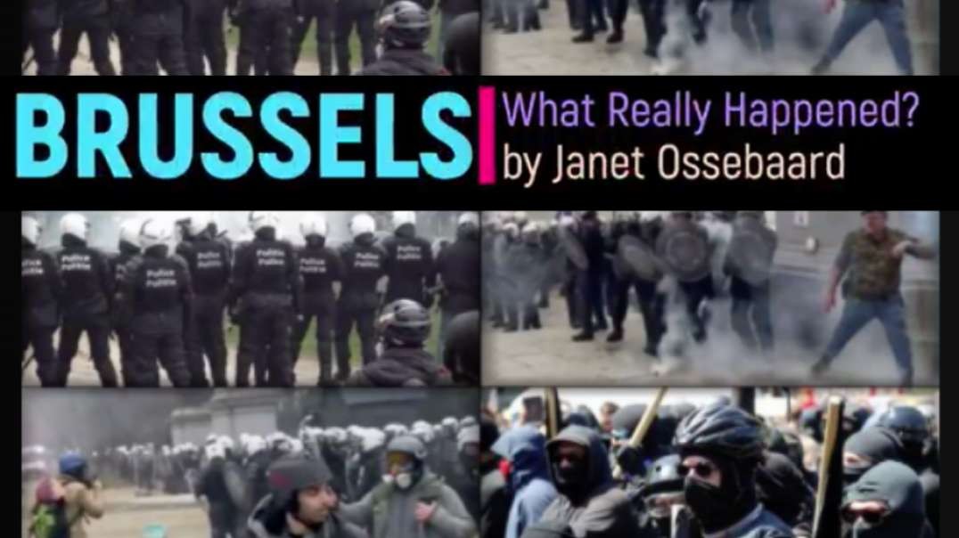 What Really Happened in Brussels?  IT'S NOT WHAT YOU THINK!!! -Janet Ossebaard