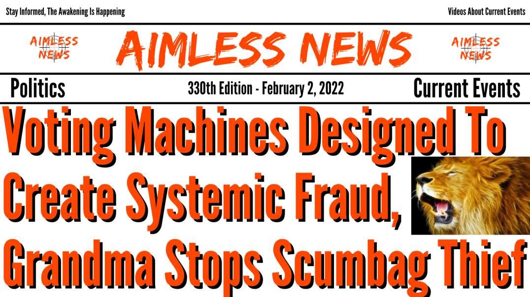 Voting Machines Are Designed To Create Systemic Fraud, Grandma Stops Scumbag Thief & Karen Song