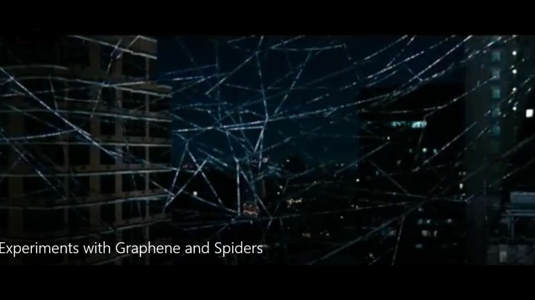 Experiments with Graphene and Spiders