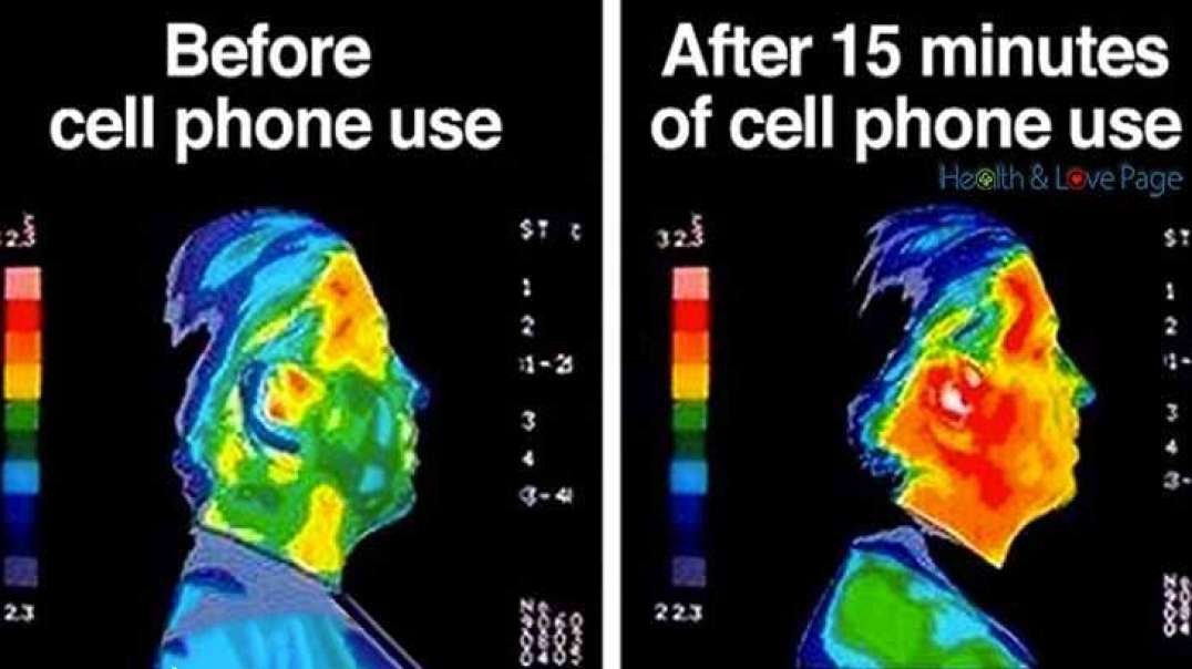 FDA Ignored Evidence Of Cell Phone Radiation