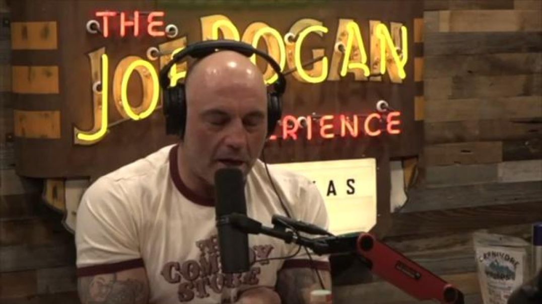 Joe Rogan to Will Smith: "You just pulled your pants down and took a sh*t on the dinner table