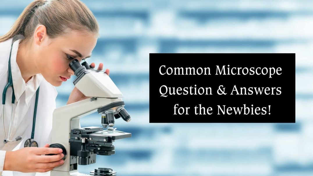 Common Microscope Question &amp;amp; Answers for the Newbies! - Microscope Manufacturer &amp