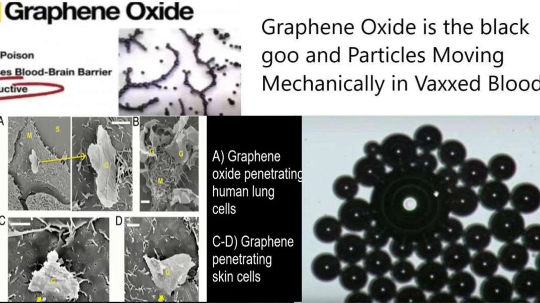 ⁣Graphene Oxide DEEP Dive [EMF FIELDS,  5G  and TESLAPHORESIS]