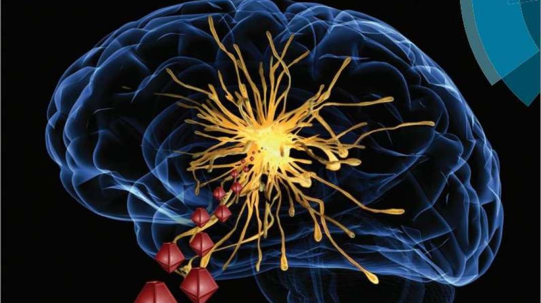 Controlling Brain Cells and Nanoparticles