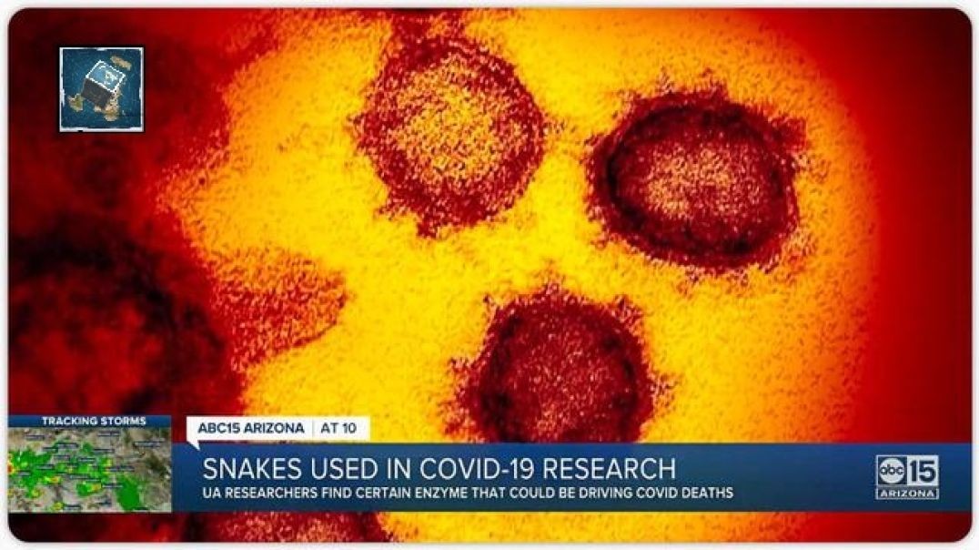 Researchers find Link Between COVID deaths & Snake Venom