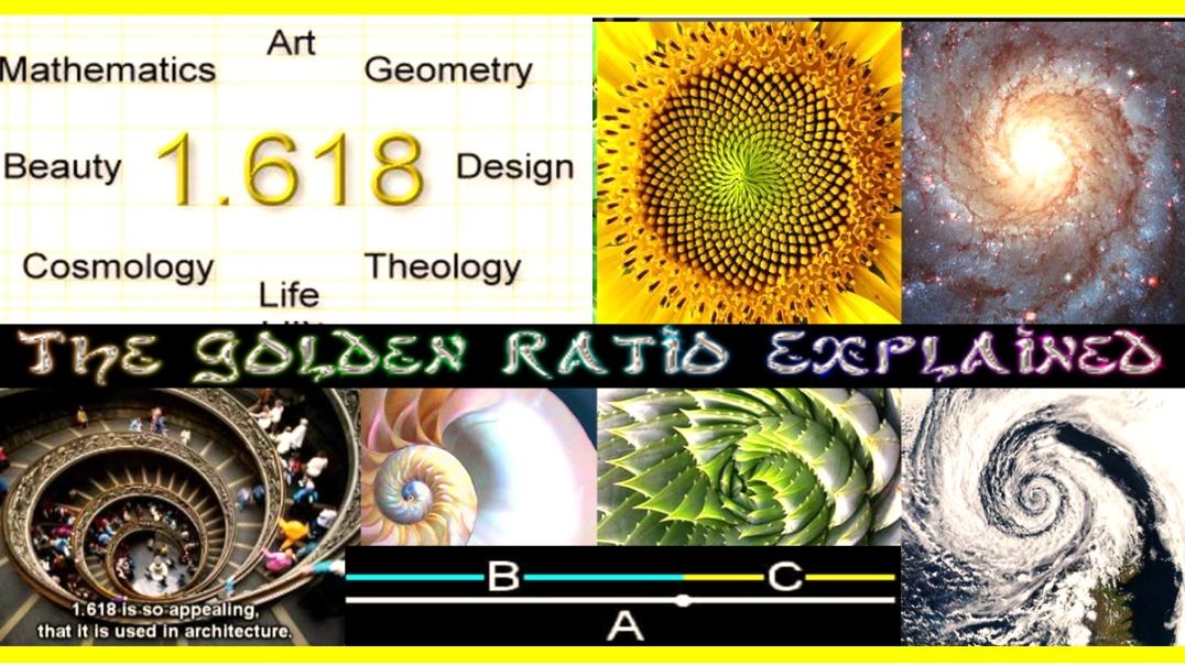 ⁣The Golden Ratio - the Fingerprints of God and Signature of the Architect [A Shane Custom]