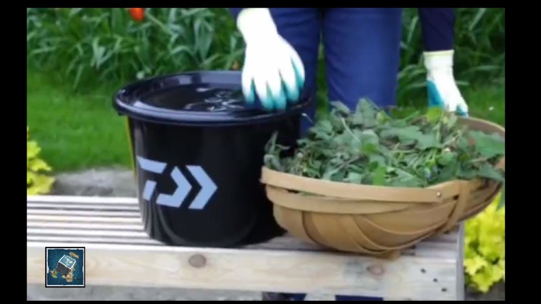 how to create organic and natural fertilizer without any cost
