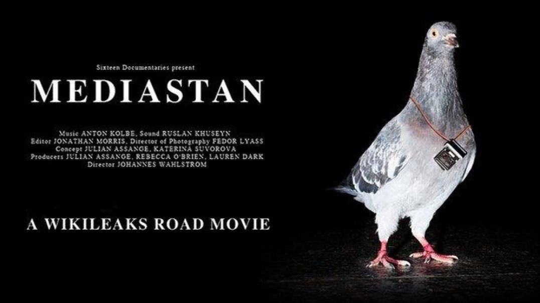 ⁣Mediastan: A Wikileaks Road Movie